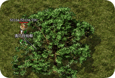 <strong>当屏幕亮起时：那些与伙伴共同写下的成长密码</strong>